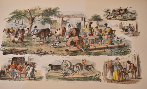 Morel, Carlos. Usos Costumbres Ro de La Plata. 1845. album con grabados