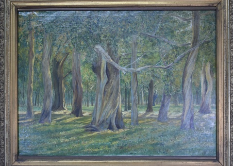 M. Messina, 1911. Bosque, oleo de 59 x 80 cm. firmado arriba a la izquierda.