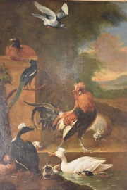Cuadro de aves. leo escuela de Melchior de Hondecoeter. 163 x 125 cm.