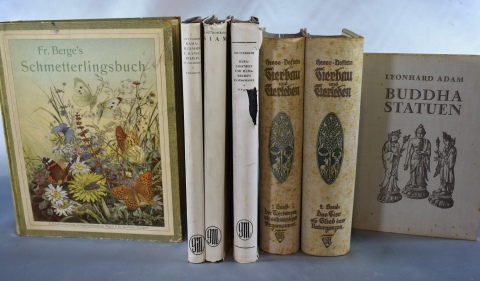BERGE, FRIEDRICH: Fr. Berge's Schmetterlingsbuch... Stuttgart 1910. Y otros libros en alemn. 7 Vol.